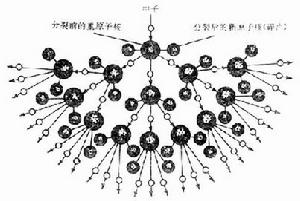 聚合酶鏈式反應