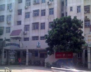 金麗花園 金麗花園