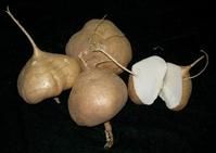 江西省橫峯縣特產橫峰葛