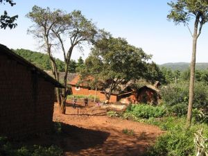 焦泥卡村 焦泥卡村