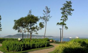 伯尼爾協會 伯尼爾協會