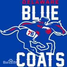 德拉瓦藍衫軍隊