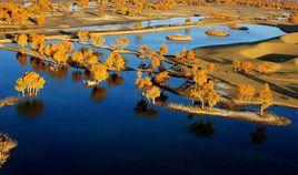 塔里木河流域 塔里木河流域