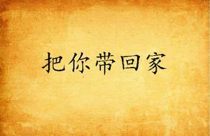 把你帶回家 把你帶回家