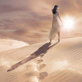 蓮花[日本女歌手]