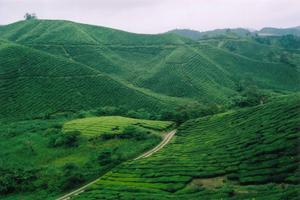 沂蒙鄉村風情園