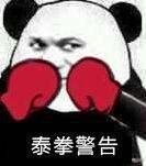 泰拳警告 泰拳警告