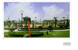 武湖農場 武湖農場