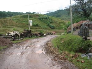 木瓜箐村 木瓜箐村