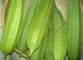 八角絲瓜 八角絲瓜