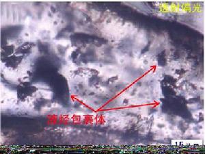 包裹體地球化學 包裹體地球化學