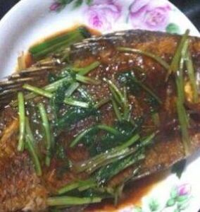 清蒸黑雞魚 清蒸黑雞魚