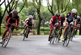 公路腳踏車比賽 公路腳踏車比賽