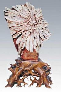 瀏陽菊花石 瀏陽菊花石