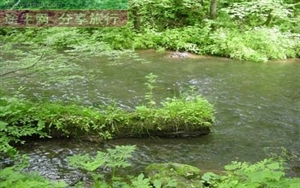 黃泥河自然保護區