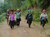 勤勞的哈尼族婦女