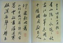 張伯祥作品欣賞