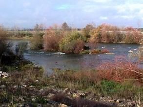 蒙德古河 蒙德古河