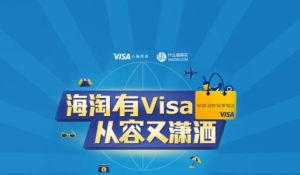 維薩密保 維薩密保