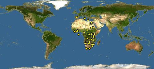 非洲草原象分布圖