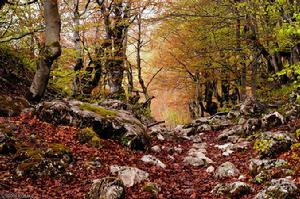 杜米托爾國家公園