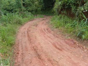 大花石自然村 大花石自然村