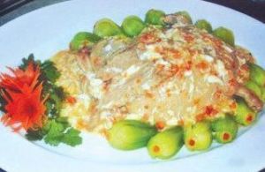 孔雀開屏鴨 孔雀開屏鴨