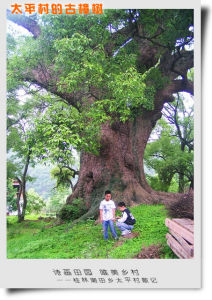 太平古村 太平古村