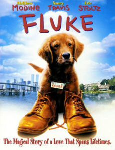 《再世人狗緣》 《再世人狗緣》