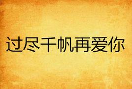 過盡千帆再愛你 過盡千帆再愛你