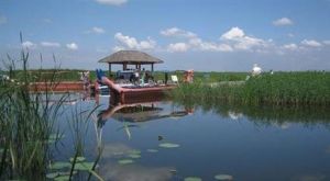 鏡泊湖濕地 鏡泊湖濕地