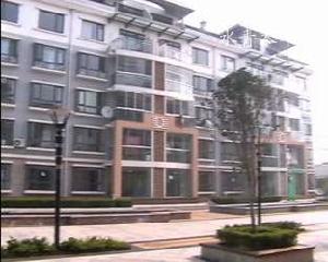 水青木華 水青木華