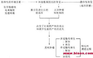 癌細胞的產生機制