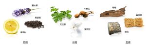 男士香水成分