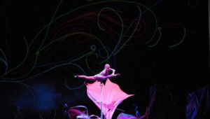 中國雜技團《天地寶藏》 中國雜技團《天地寶藏》