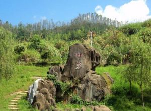 唐寨山森林公園