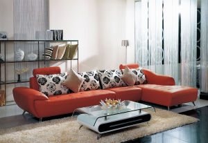 泉州雙向貿易有限公司 泉州雙向貿易有限公司