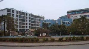 白龍小區 白龍小區