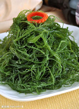 海藻素的來源-海藻