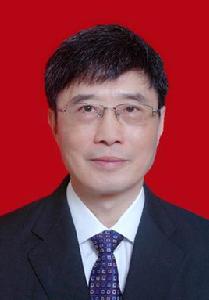 羅安[中國工程院院士]