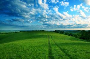 克什克騰草原 克什克騰草原