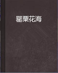罌粟花海 罌粟花海