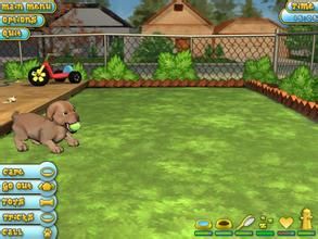 《愛心寵物狗》 《愛心寵物狗》