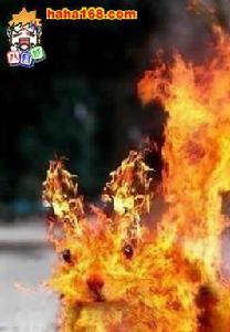 魂破九天 魂破九天