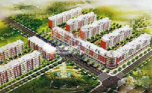 鴻禧家園 鴻禧家園