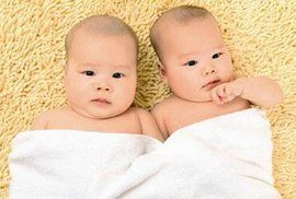 同卵雙生 同卵雙生