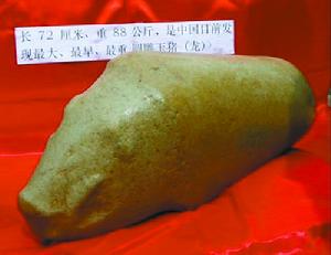 安徽凌家灘玉豬 安徽凌家灘玉豬