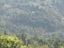 安樂寨自然村 安樂寨自然村