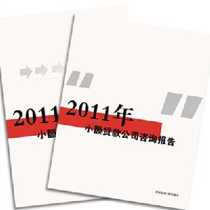小額貸款公司諮詢報告及操作指南 小額貸款公司諮詢報告及操作指南
