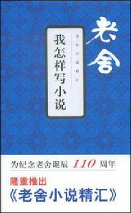 我怎樣寫小說 我怎樣寫小說